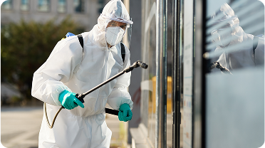 Where Do Termites Hide?