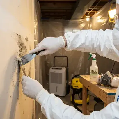 Mold Remediation